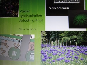 164930_514362195265878_1806466443_n